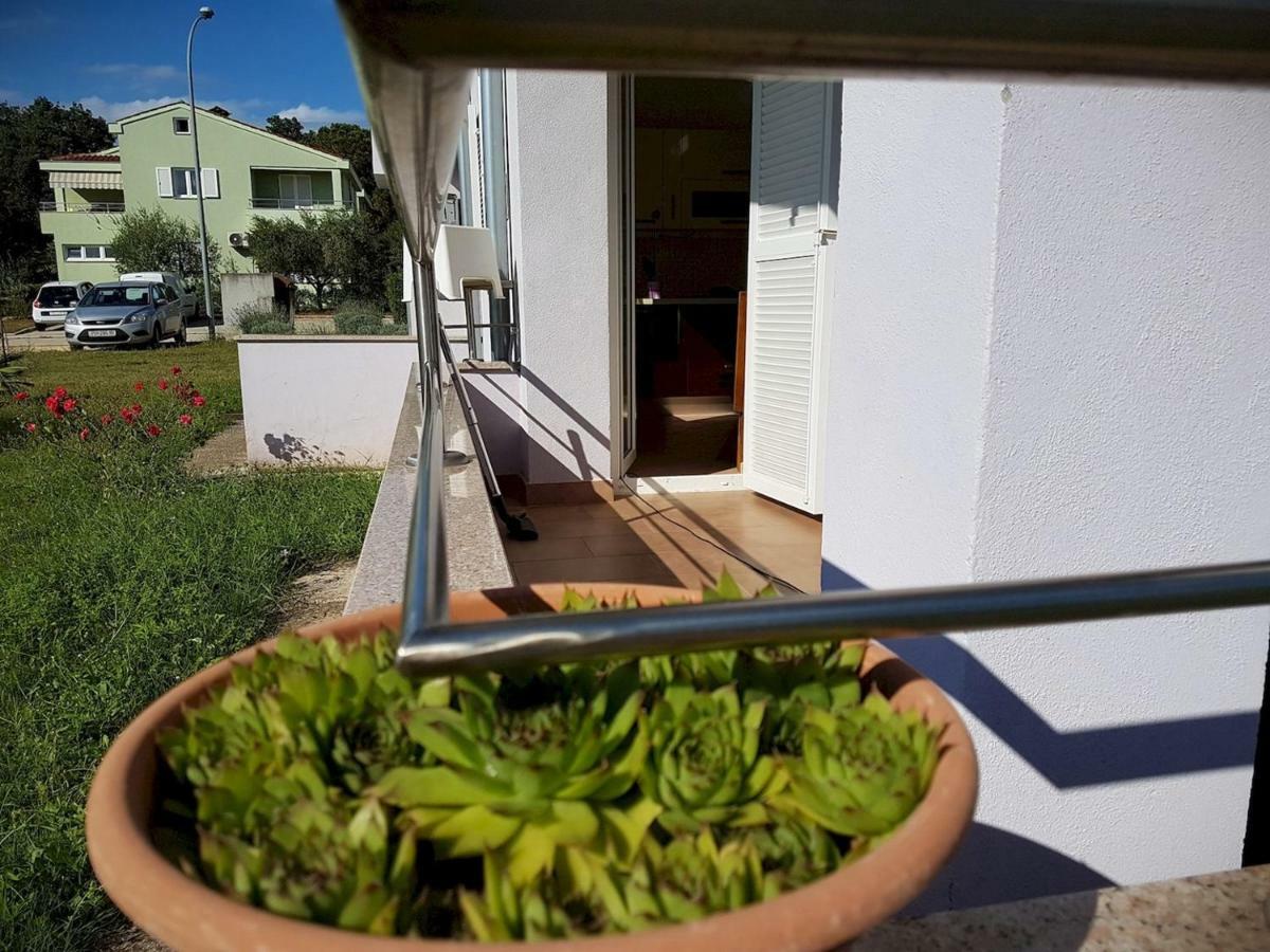 Vitalia 2+2 Apartment Porec